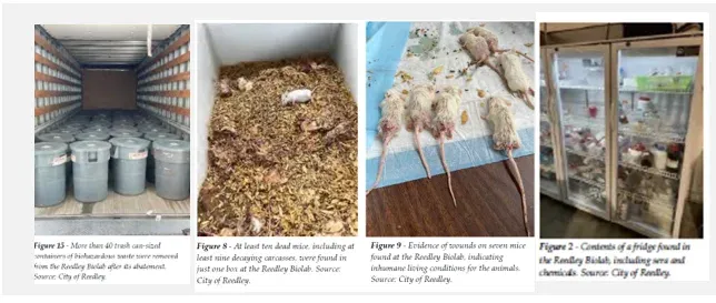 Pathogen-labeled containers, hazardous waste, dead mice, and refrigerators from the Reedley Biolab
